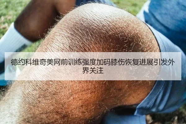 德约科维奇美网前训练强度加码膝伤恢复进展引发外界关注