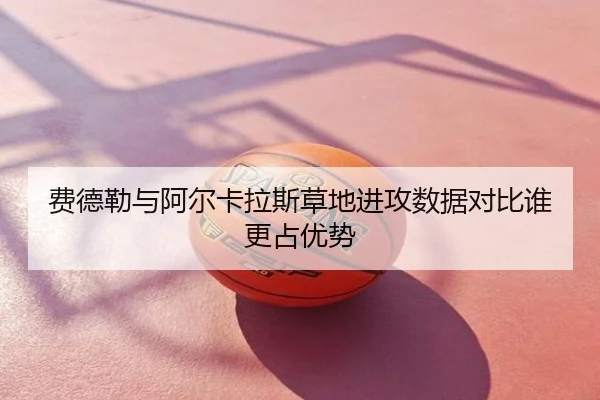 费德勒与阿尔卡拉斯草地进攻数据对比谁更占优势